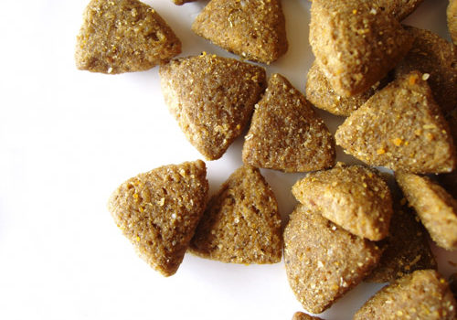 Les aliments Premium pour chat