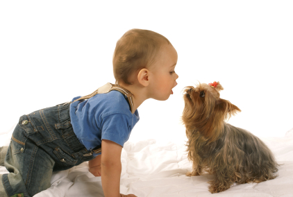 chien et bébé
