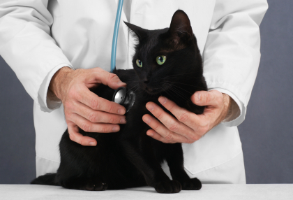 Le diagnostic est fait avec une analyse d’urine et une prise de sang