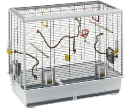 Cage pour perroquet