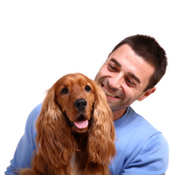 Vivre sereinement avec son chien