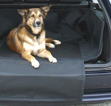 Chien dans un coffre de voiture