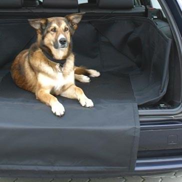 Chien dans un coffre de voiture