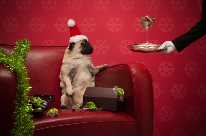 Carlin de Noël