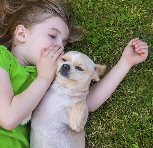 le chien et l'enfant
