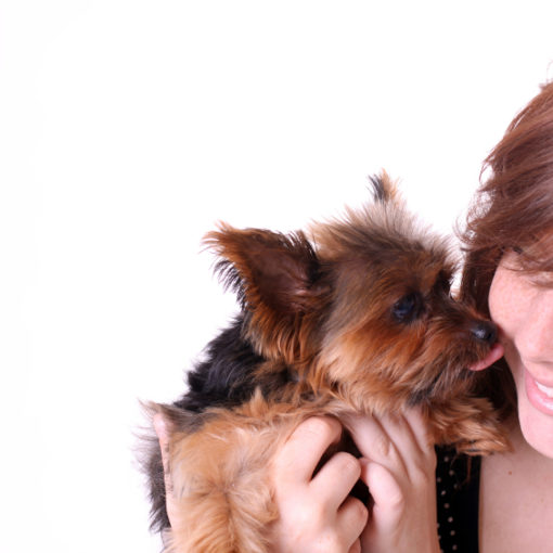 Quel chien pour quel maître