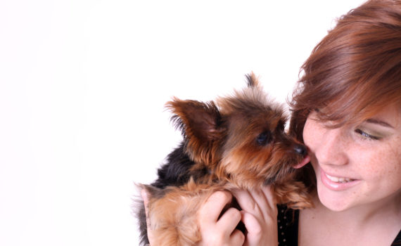 Quel chien pour quel maître