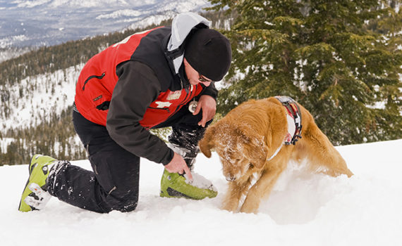 Un chien qui sauve des vies