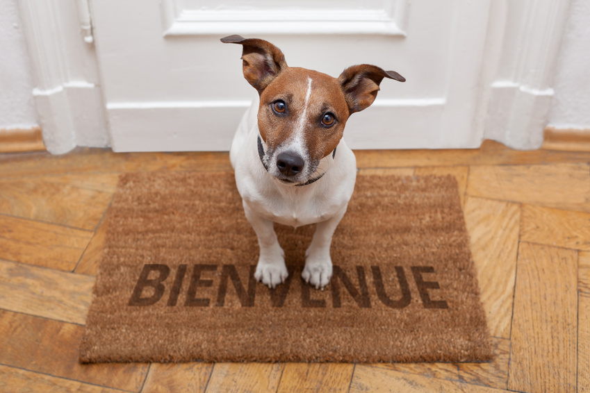 Un complice au quotidien