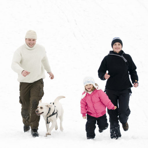 Le chien, du bonheur pour toute la famille