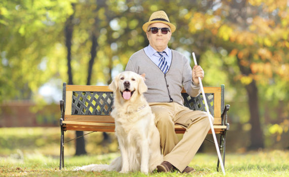 Le chien guide est plus qu'un compagnon