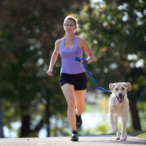 courir avec son chien