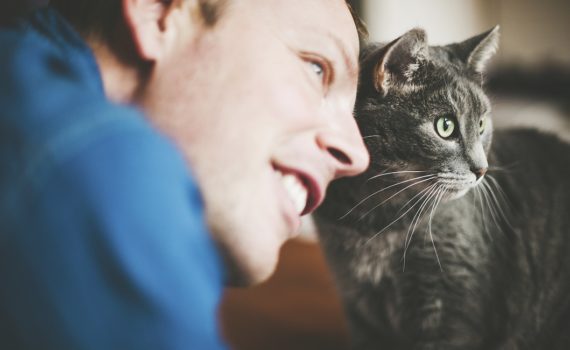 Comment nos animaux nous reconnaissent