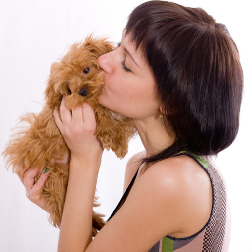 Comprendre mon chiot