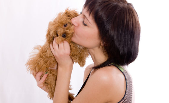 Comprendre mon chiot