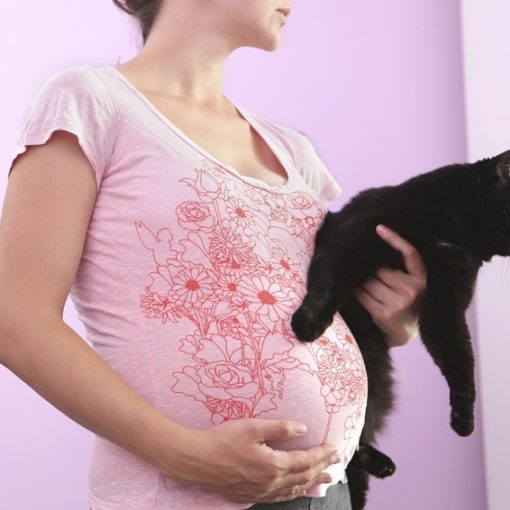 risques femme enceinte et animaux