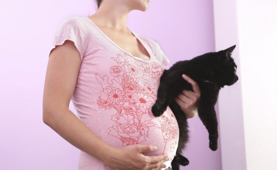 risques femme enceinte et animaux