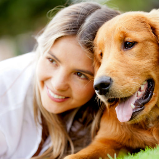 homme, chien et leadership