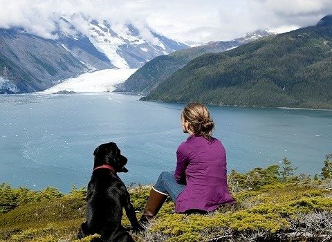 Les vacances avec ou sans son animal