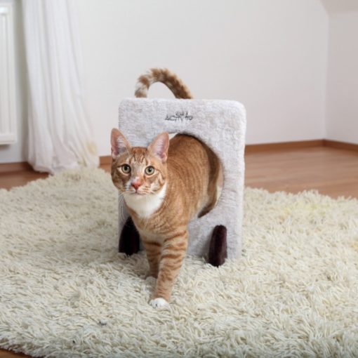 L'agility avec son chat