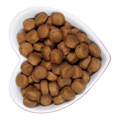 Taurine pour le chat