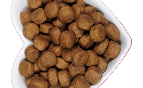 Taurine pour le chat