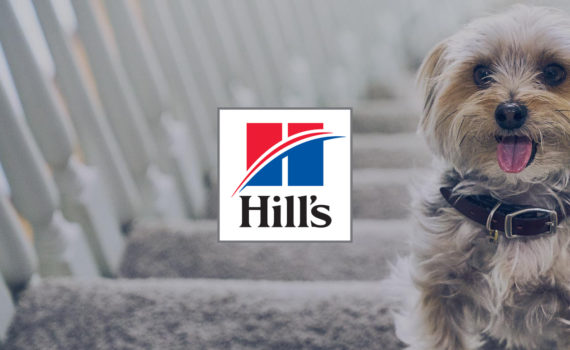 Les aliments Hill’s pour chien et chat