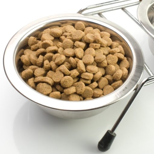 Conservation des aliments pour chien et chat