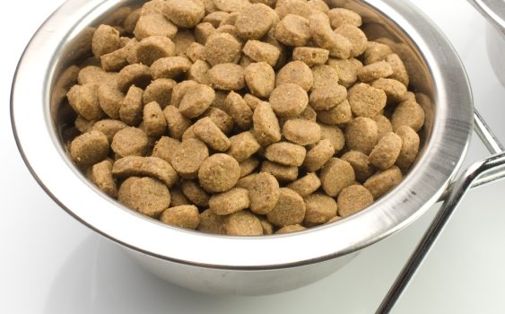Conservation des aliments pour chien et chat