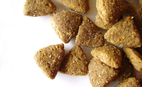 Que sont les cendres dans les aliments pour animaux ?
