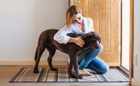 L’hyperattachement chez le chien