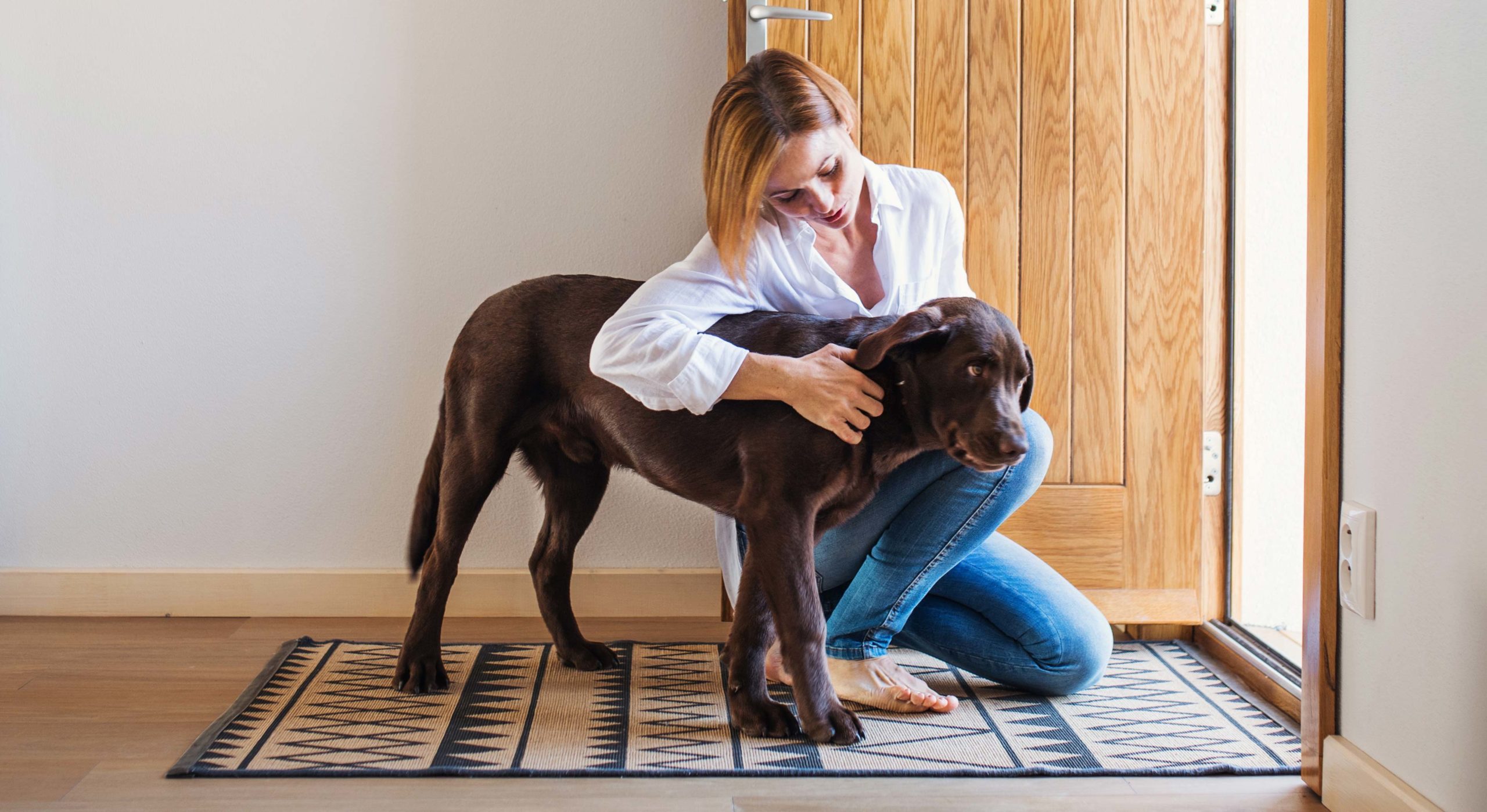 L’hyperattachement chez le chien