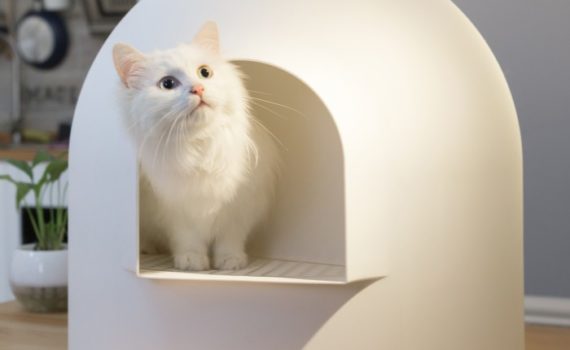 Quelle litière pour mon chat ?