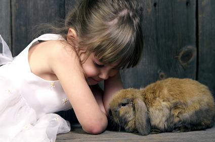 Le lapin et les enfants