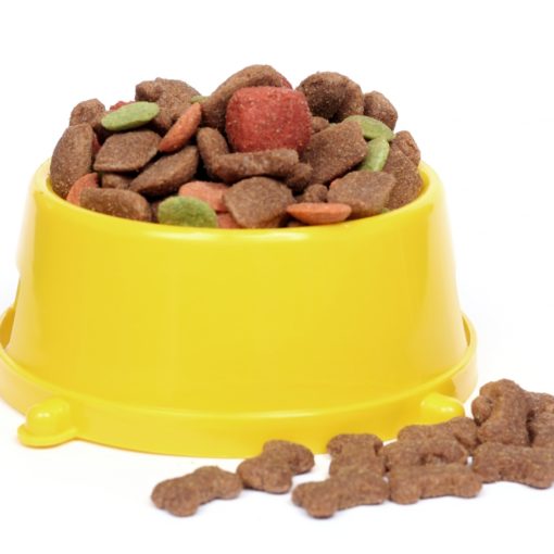 Les glucides dans les croquettes pour chien et chat