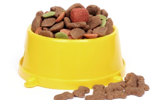Les glucides dans les croquettes pour chien et chat