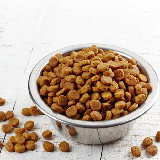 Mycotoxines dans les croquettes