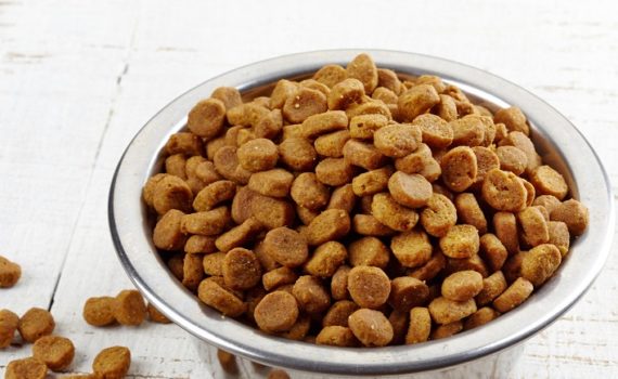Mycotoxines dans les croquettes