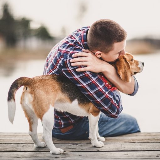 Alimentation du chien épileptique
