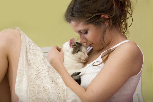 Les signes d'attachement du chat.