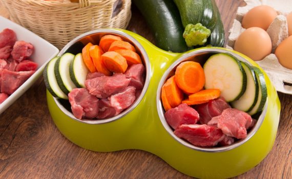 Les risques zoonotiques liés à la consommation de viande crue