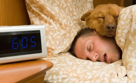 Reprendre le rythme de la rentrée avec votre animal