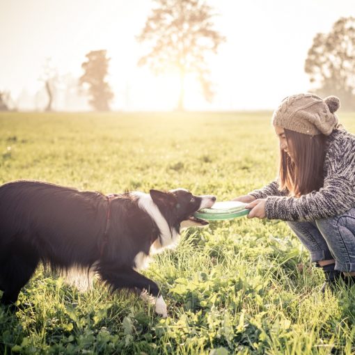 Adolescence et comportement chez le chien.