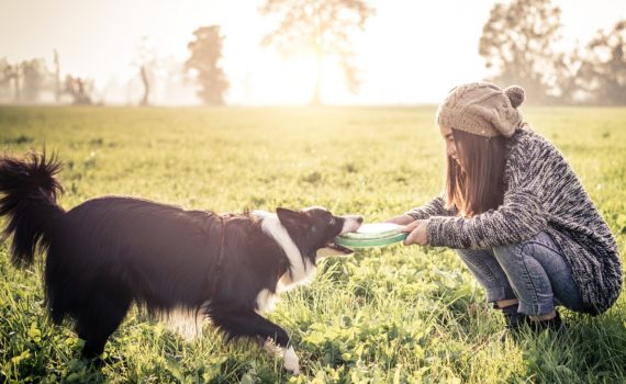 Adolescence et comportement chez le chien.