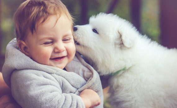 Les bienfaits des animaux de compagnie