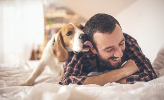 Salive des chiens et des chats : risques et bactérie