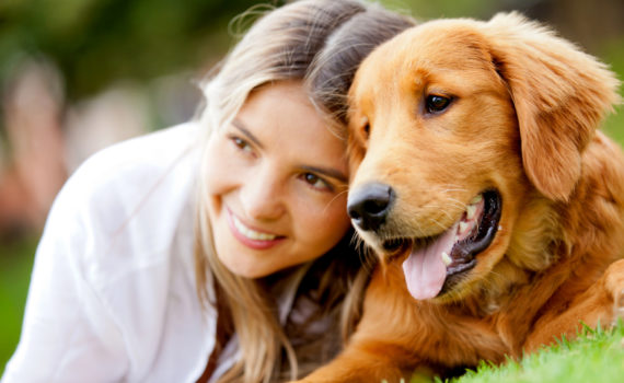Vieillissement chien