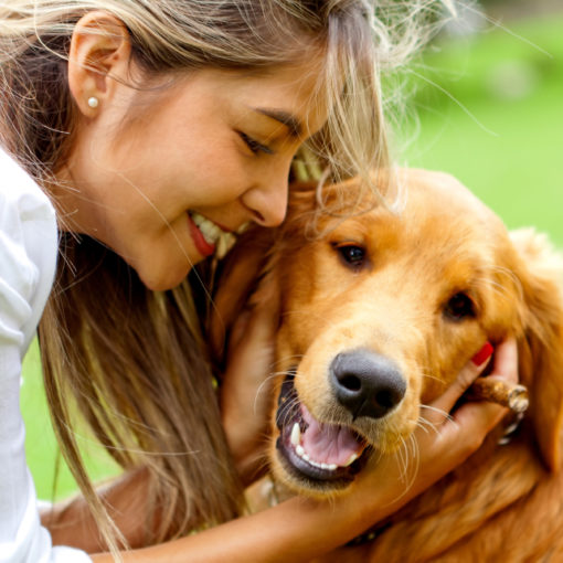 Peut-on donner du pain à un chien ?