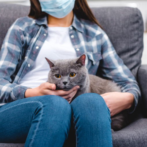 Mon chien ou mon chat risque-t-il d’attraper le Coronavirus ?