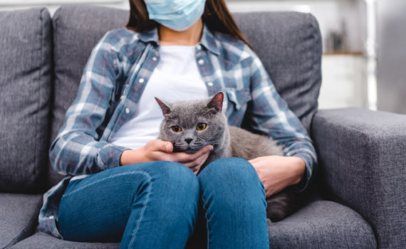 Mon chien ou mon chat risque-t-il d’attraper le Coronavirus ?